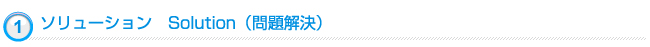 ソリューション Solution(問題解決)