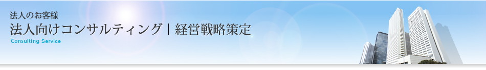 法人向けコンサルティング｜経営戦略策定