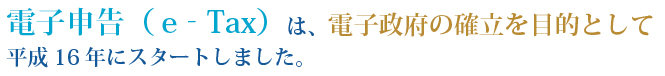 電子申告（ｅ‐Tax）は、電子政府の確立を目的として平成16年の6月にスタートしました。