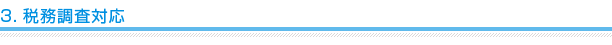 3.税務調査対応