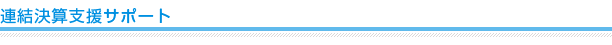 連結決算支援サポート